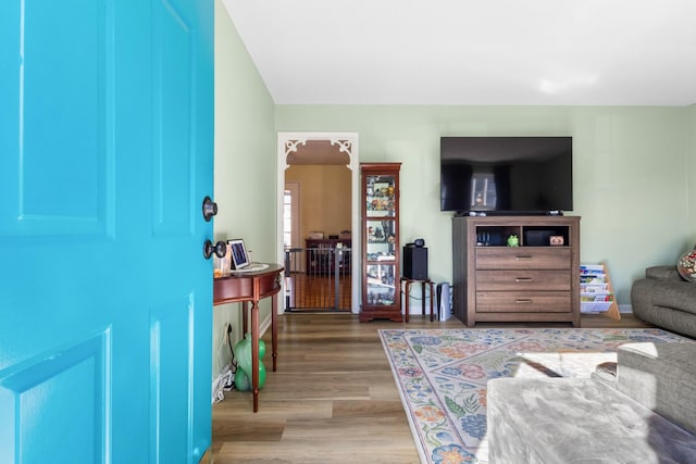 living room with wood-type flooring