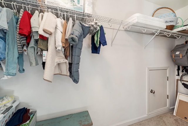 walk in closet featuring carpet flooring