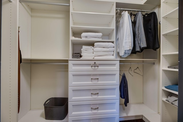 view of spacious closet