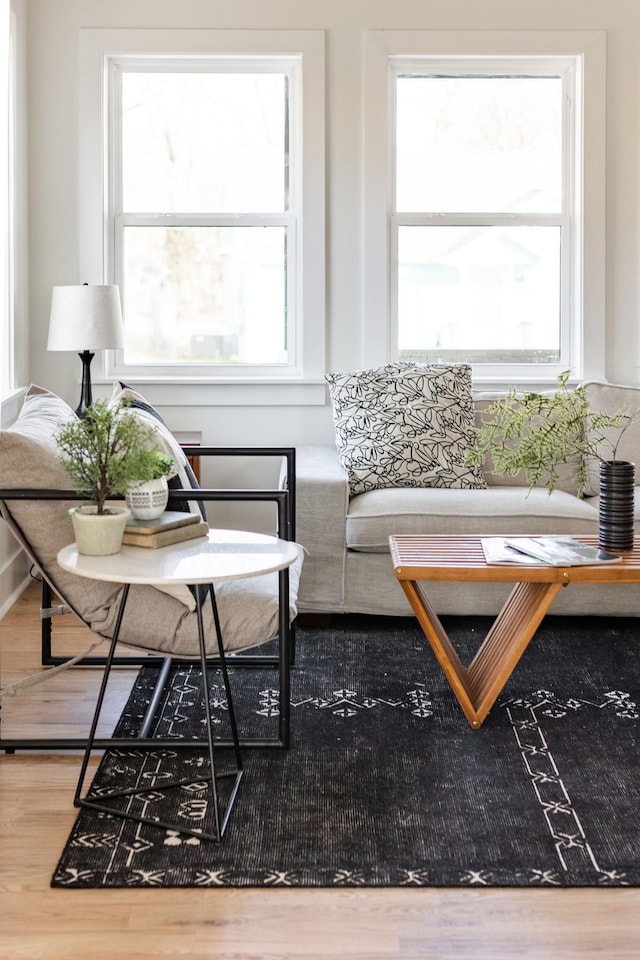 living room with wood-type flooring