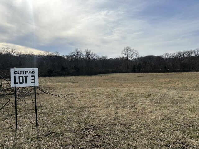 3 Booker Ridge Rd, Mount Pleasant, TN 38474
