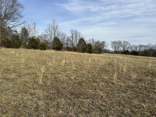 3 Booker Ridge Rd, Mount Pleasant, TN 38474