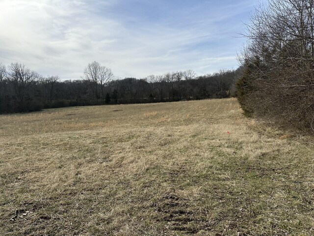 3 Booker Ridge Rd, Mount Pleasant, TN 38474