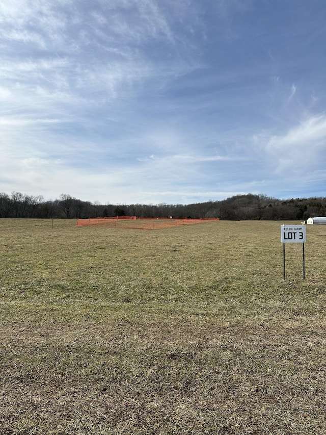 3 Booker Ridge Rd, Mount Pleasant, TN 38474