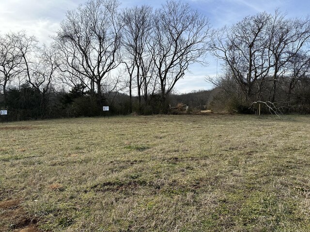 3 Booker Ridge Rd, Mount Pleasant, TN 38474