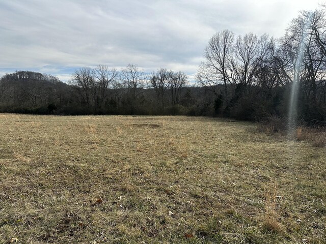 3 Booker Ridge Rd, Mount Pleasant, TN 38474