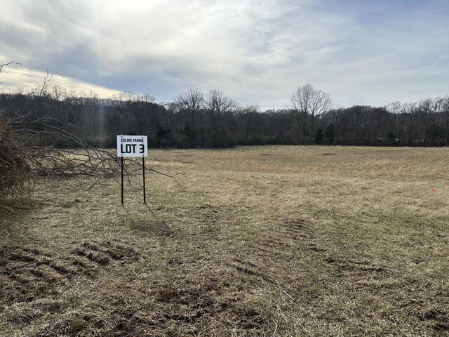 3 Booker Ridge Rd, Mount Pleasant, TN 38474