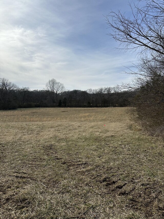 3 Booker Ridge Rd, Mount Pleasant, TN 38474