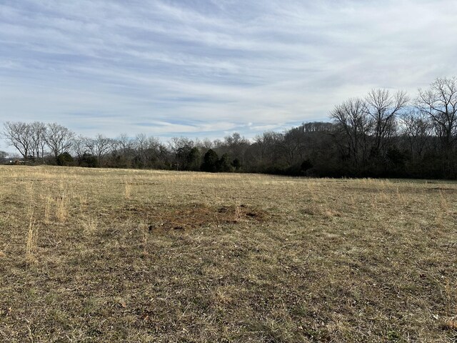3 Booker Ridge Rd, Mount Pleasant, TN 38474