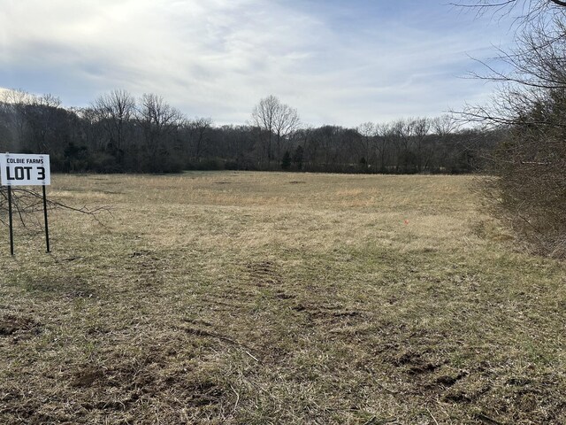 3 Booker Ridge Rd, Mount Pleasant, TN 38474