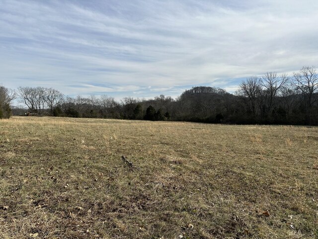 3 Booker Ridge Rd, Mount Pleasant, TN 38474