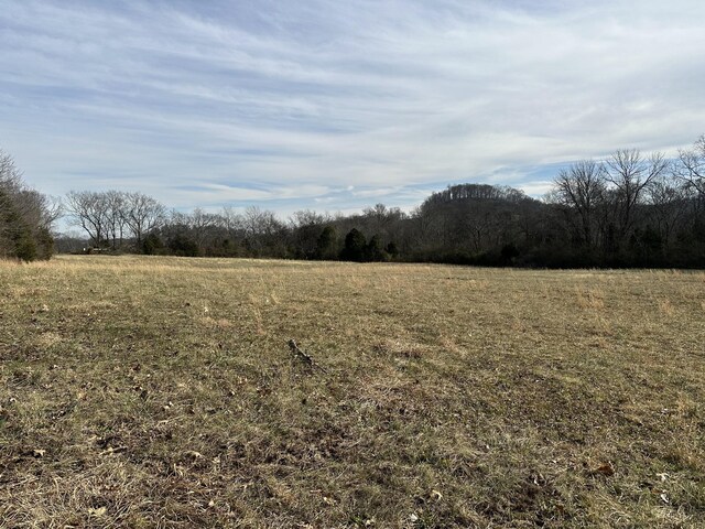 3 Booker Ridge Rd, Mount Pleasant, TN 38474