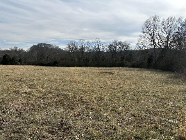 3 Booker Ridge Rd, Mount Pleasant, TN 38474