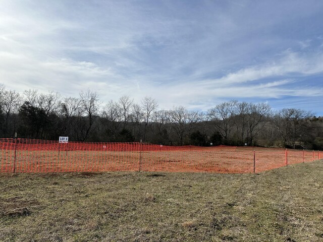 3 Booker Ridge Rd, Mount Pleasant, TN 38474