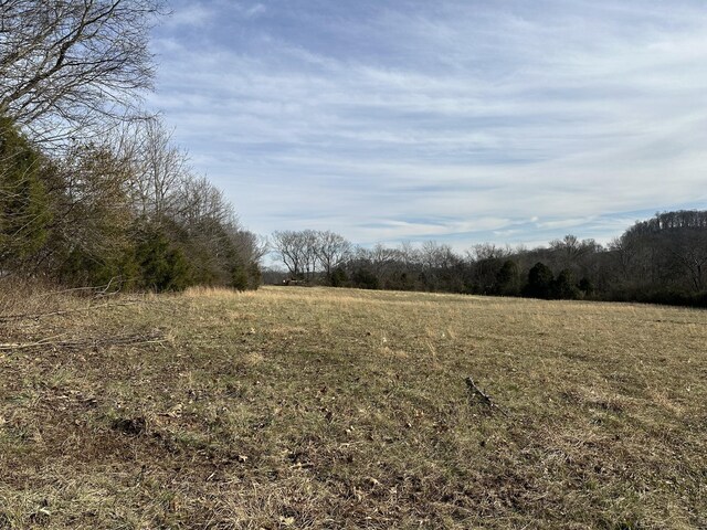 3 Booker Ridge Rd, Mount Pleasant, TN 38474