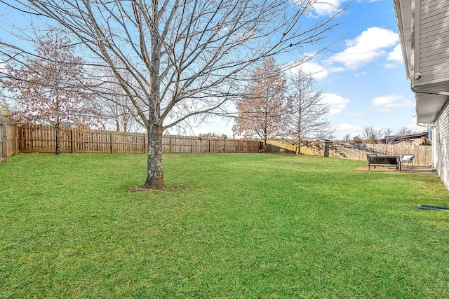 view of yard with a fenced backyard