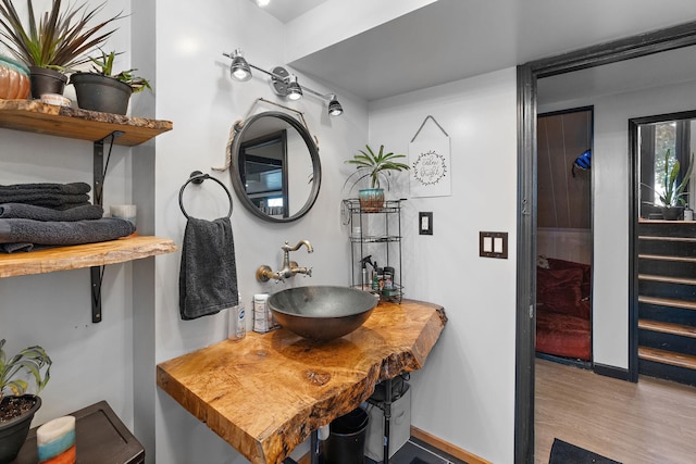 bathroom with wood-type flooring and sink