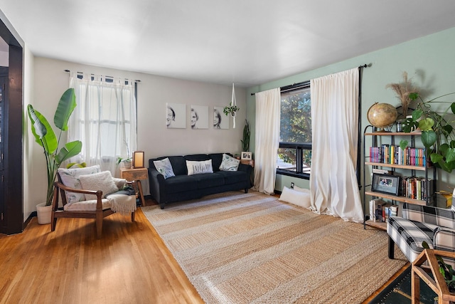 living room featuring wood-type flooring