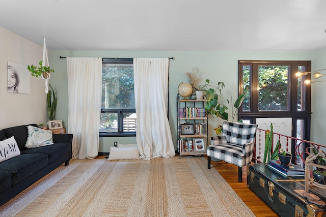 living room with hardwood / wood-style floors