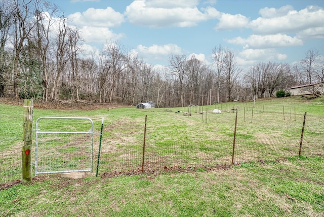 view of yard with a rural view