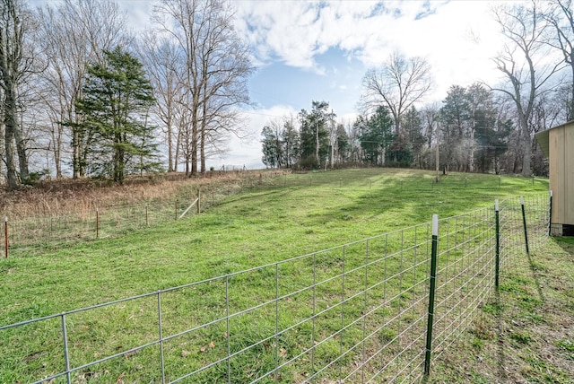 view of yard with a rural view