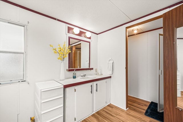 bathroom featuring vanity and hardwood / wood-style floors