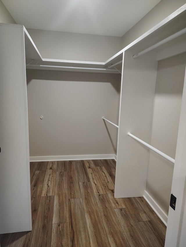 walk in closet featuring hardwood / wood-style floors