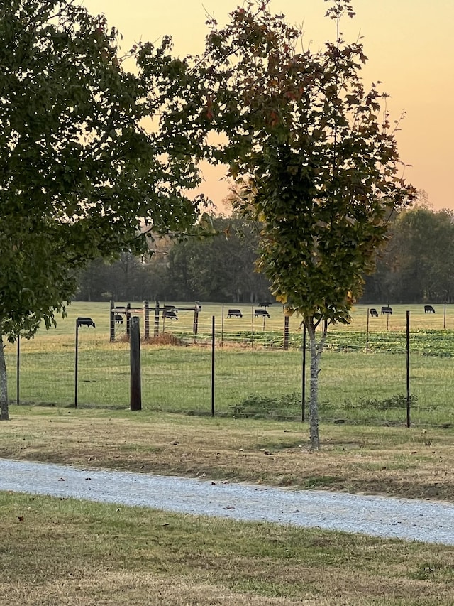 yard at dusk with a rural view