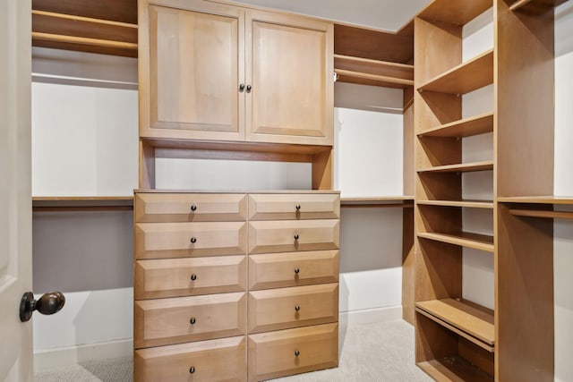 spacious closet with carpet