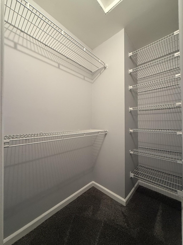 walk in closet featuring carpet