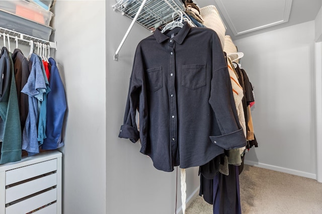 walk in closet with carpet floors