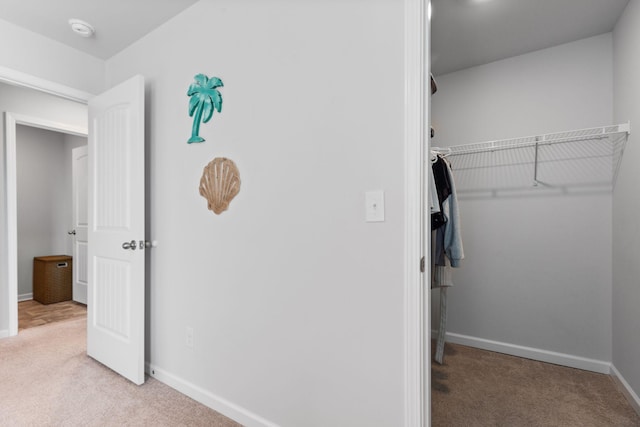 interior space with light colored carpet