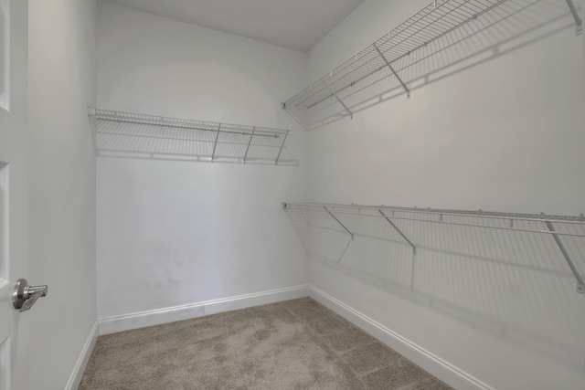 spacious closet with light colored carpet