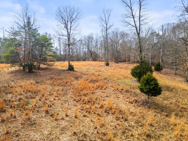 view of yard featuring a rural view