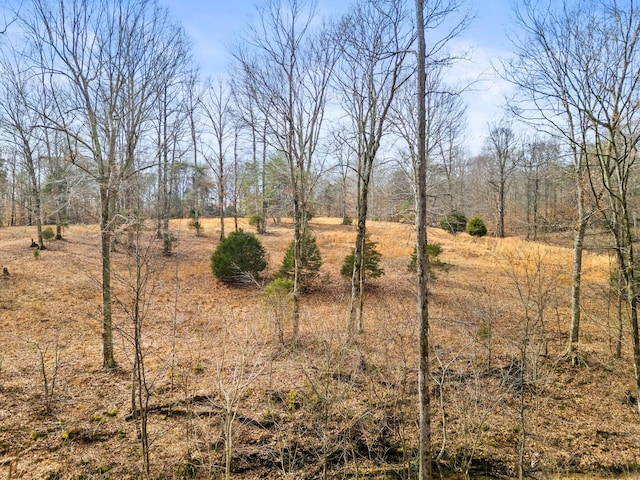 view of nature featuring a rural view