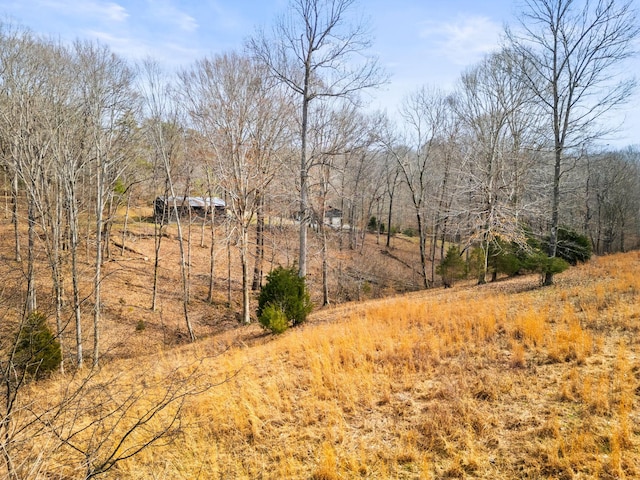 view of nature featuring a rural view