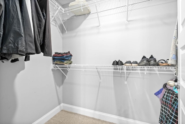 walk in closet featuring carpet floors