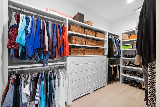 spacious closet featuring light colored carpet