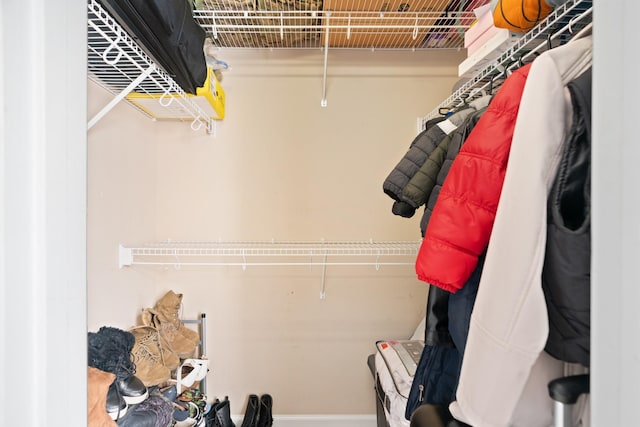 view of spacious closet