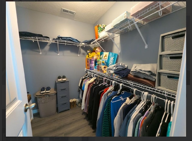 spacious closet with wood-type flooring