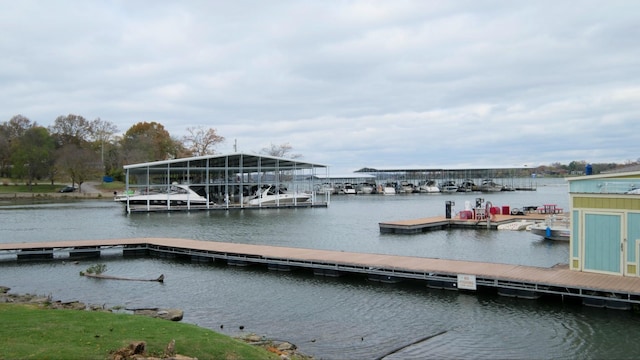 dock area with a water view