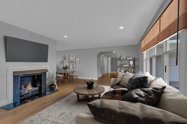 living room with hardwood / wood-style floors