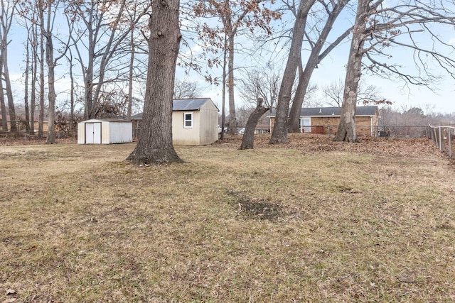 view of yard with a shed