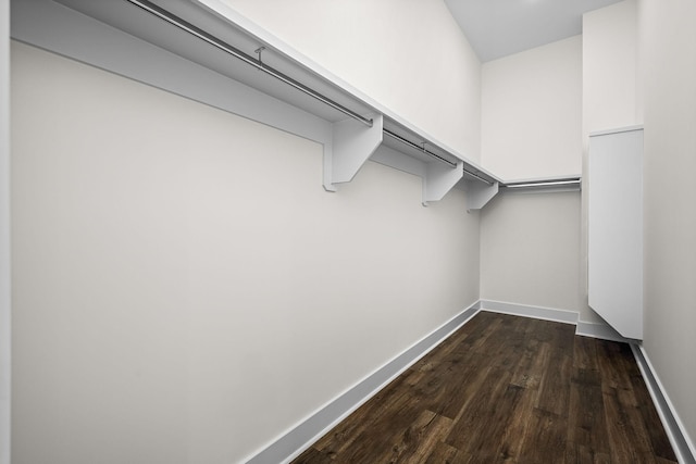 spacious closet featuring dark hardwood / wood-style floors