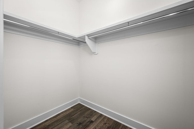 walk in closet featuring dark hardwood / wood-style flooring