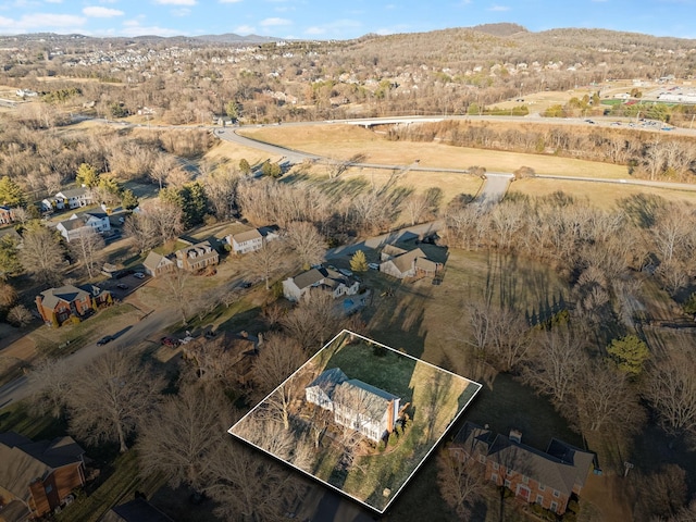 aerial view with a mountain view