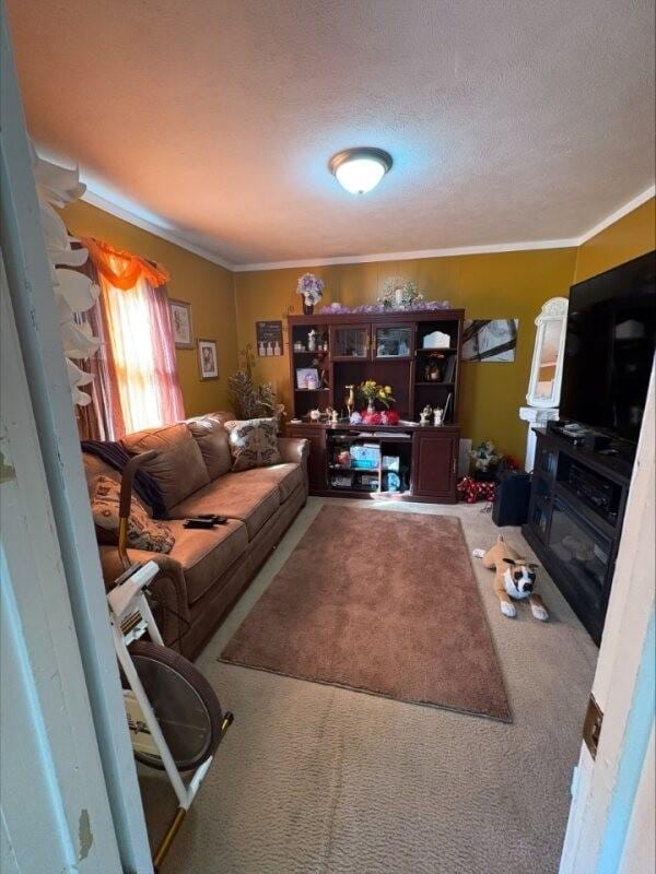 living room with ornamental molding, carpet floors, and a textured ceiling