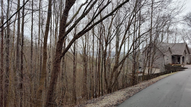 35 Bay View Dr, Lancaster, TN 38569