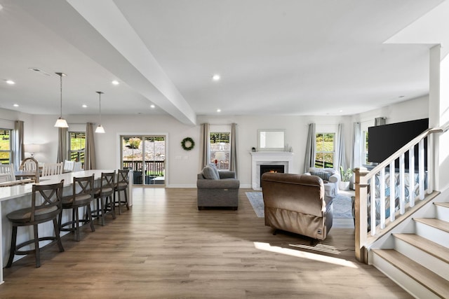 living room featuring plenty of natural light and wood-type flooring