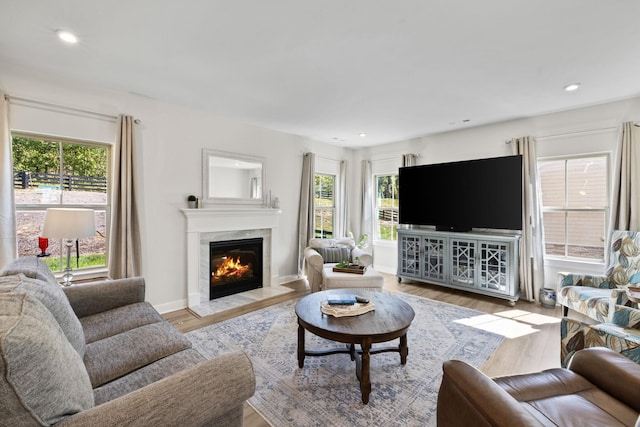 living room with a fireplace and light hardwood / wood-style flooring